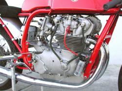250-trialbero-2.jpg
